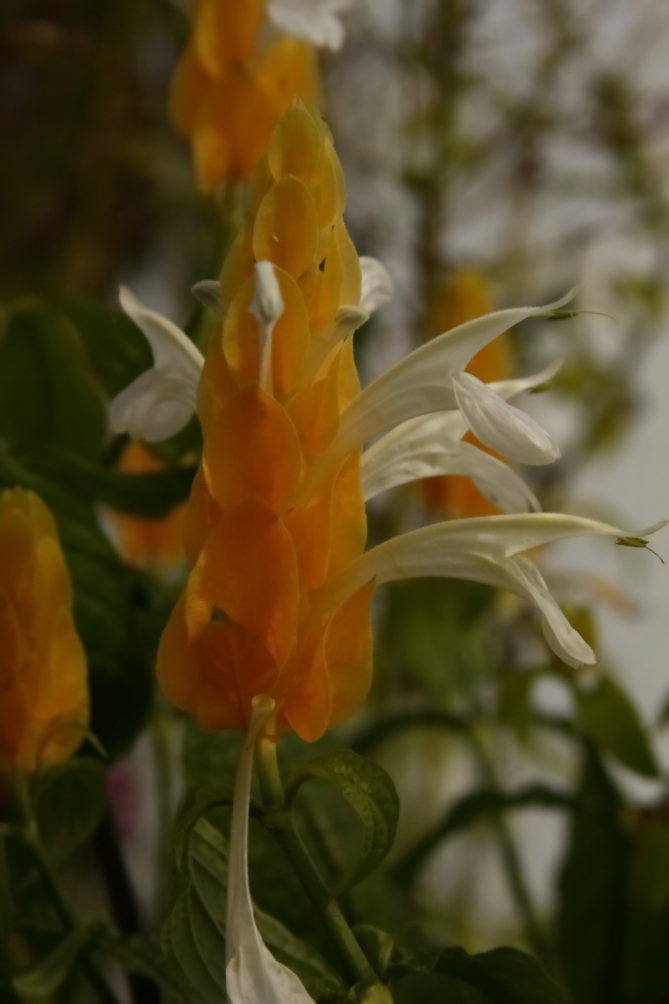2011 08 05 IMG 35539